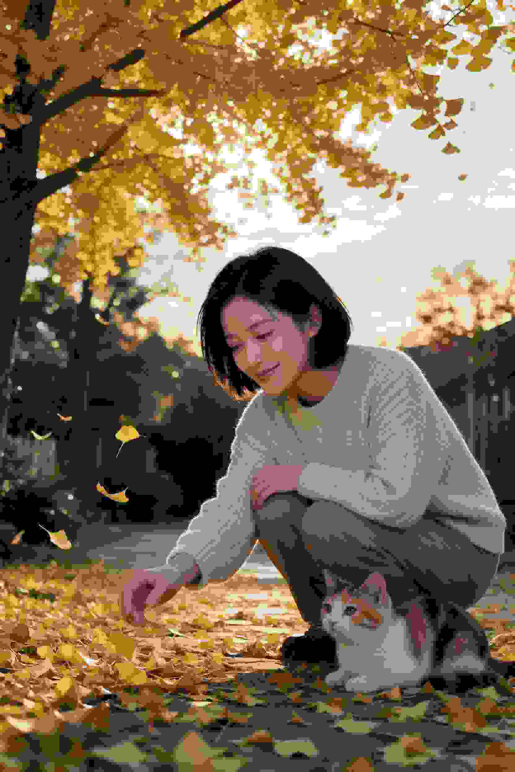 千年等一回